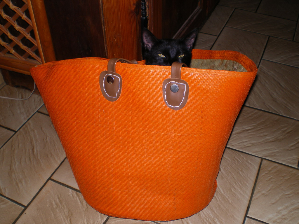 Mina au sac !