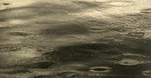 la pluie