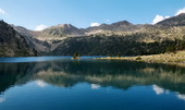 aubert