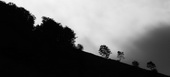 ombres