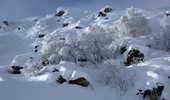 pyrénées