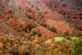 automne