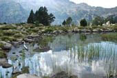 reflets