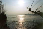 Le rameur solitaire