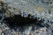 eau