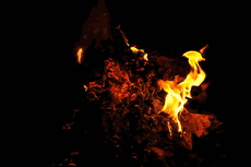 feu