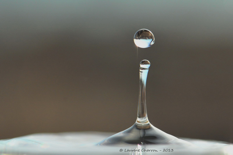 goutte 3