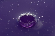 water splac 2