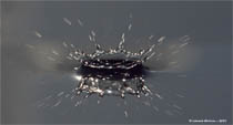 water splach 4