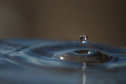 goutte 1
