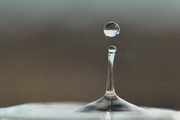 goutte 2