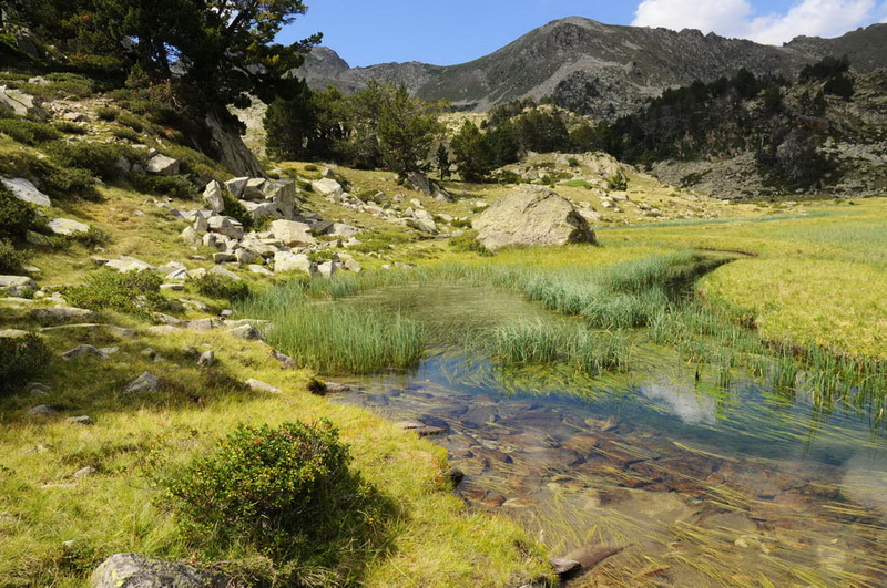 Le lac de l'ïle - Laurent Charron