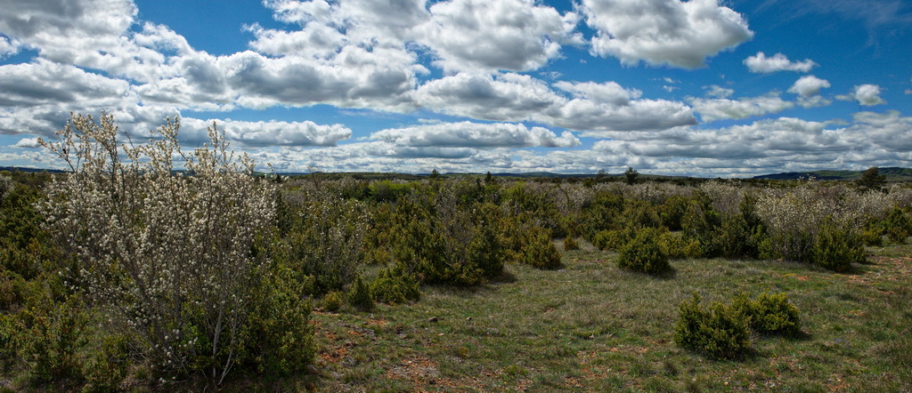 plateau du Larzac